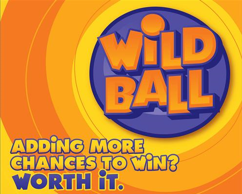 Wild Ball Logo
